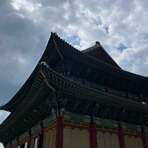 아디다스 파이어버드