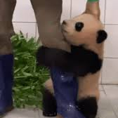 롯데 상품권 150만원 구매해요