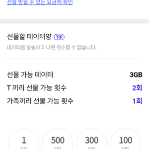 skt데이터 2기가