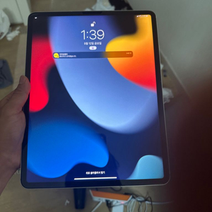 아이패드 프로5 12.9 celluer 128