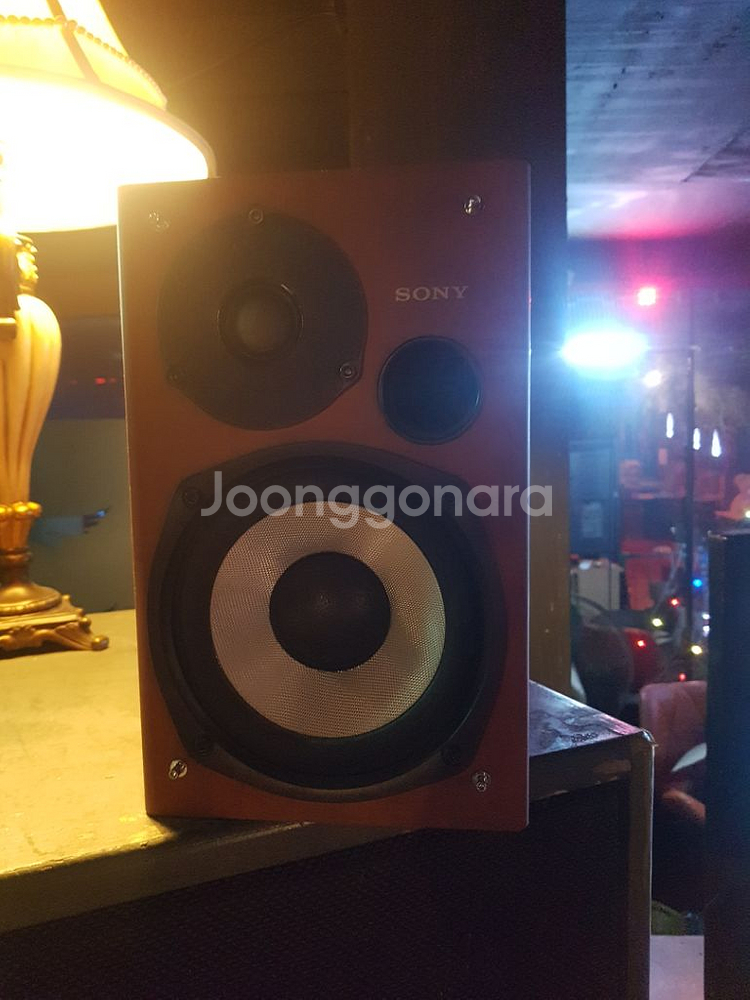 소니 북셀프 6.5 케블라콘우퍼--0