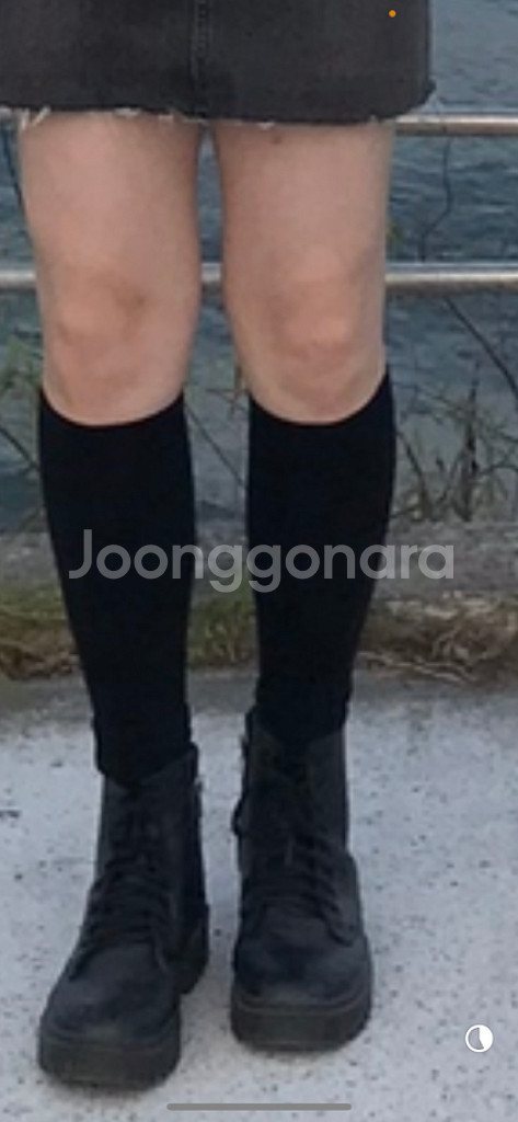 졸업사진 카우걸 대여 (르세라핌 컨셉)--8