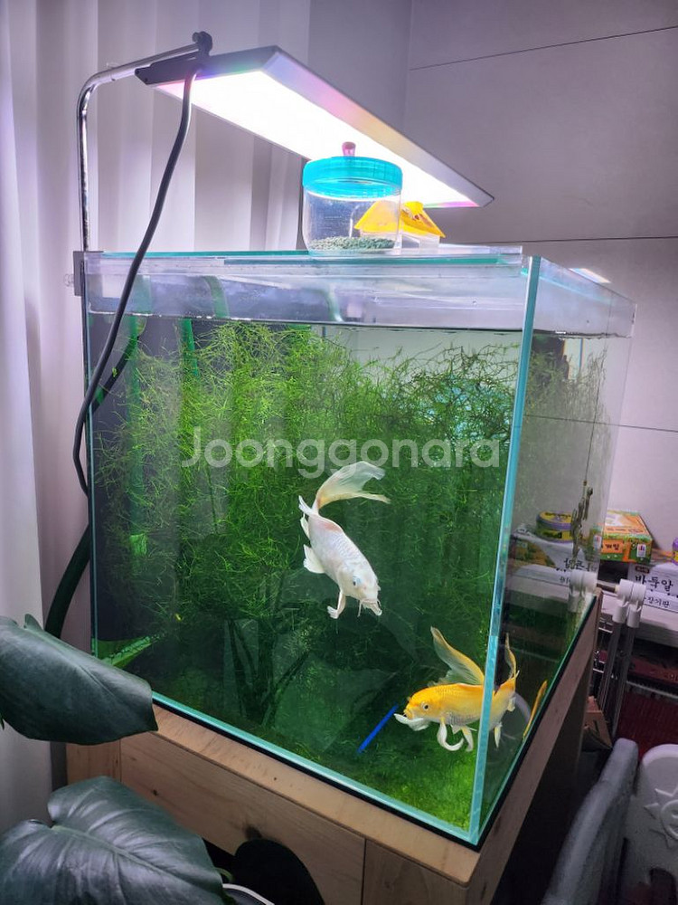 2자어항 풀셋팝니다(생물제외)--1