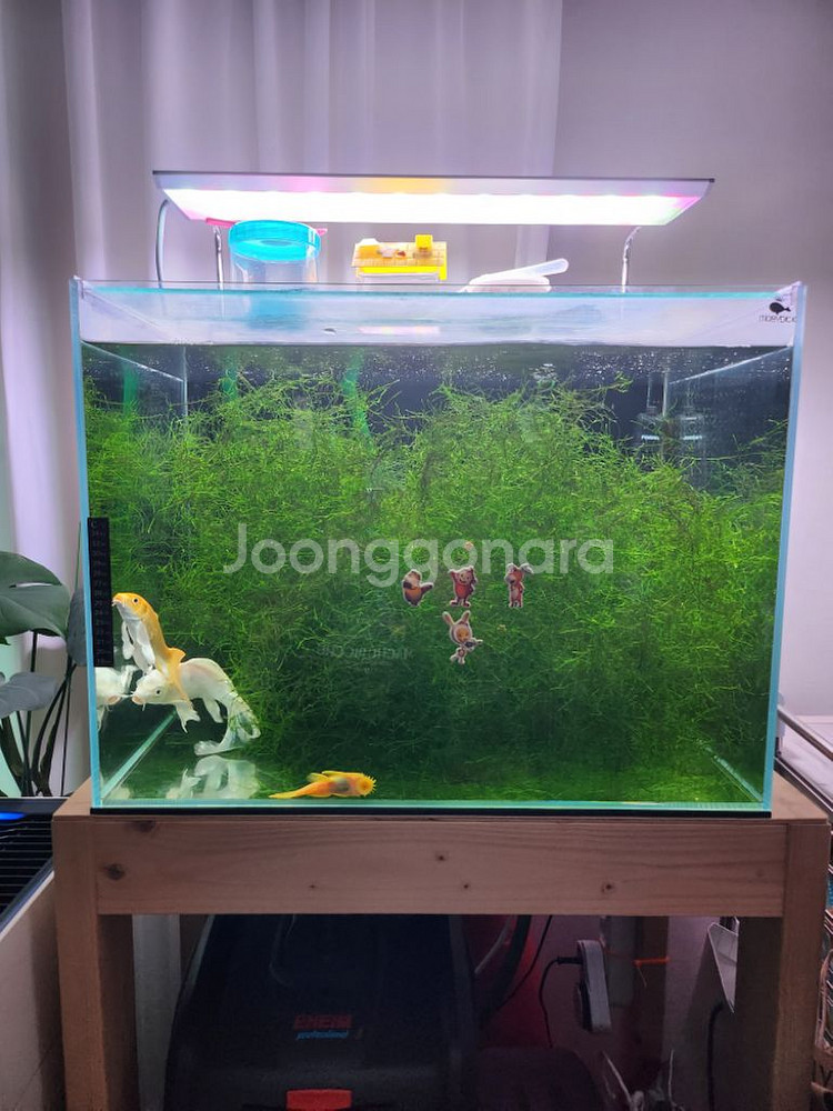 2자어항 풀셋팝니다(생물제외)--0