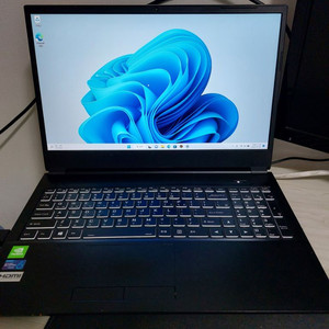 펜티엄골드 10세대 MX350 노트북 팝니다.