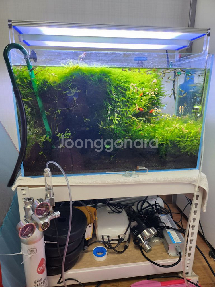 2자 수초어항 풀셋팝니다(생물제외)--0