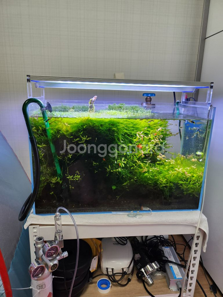 2자 수초어항 풀셋팝니다(생물제외)--4