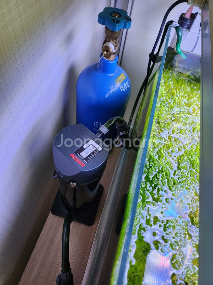 2자 수초어항 풀셋팝니다(생물제외)--5