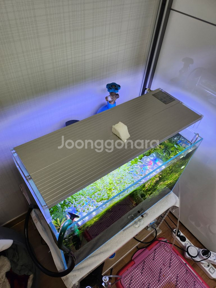 2자 수초어항 풀셋팝니다(생물제외)--7