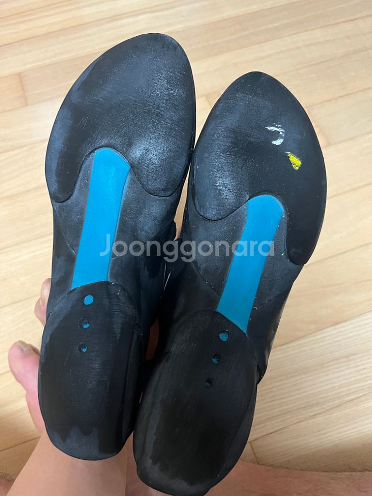 스카르파 드라고lv 암벽화(eu40.5/253-5mm)--2