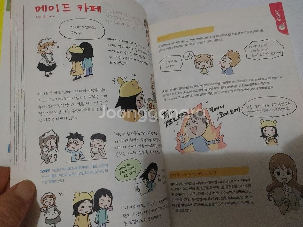 오사카 고베 교토 재일교포 2.5세 노란구미 일본여행--2
