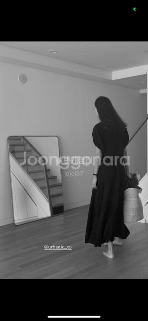 얼바닉30 에보키니 바스켓백--1