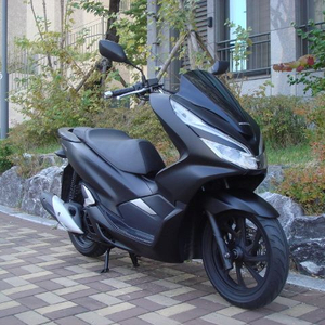 19년식 더뉴 pcx125