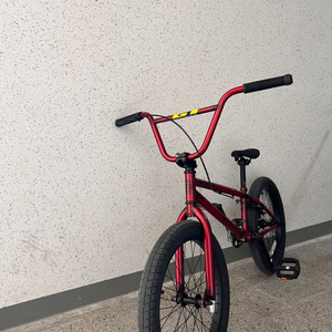 GT 슬레머 BMX