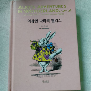 소설 이상한 나라의 앨리스 도서 책