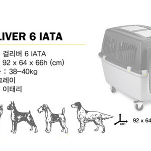 스테판플라스트 걸리버6 켄넬