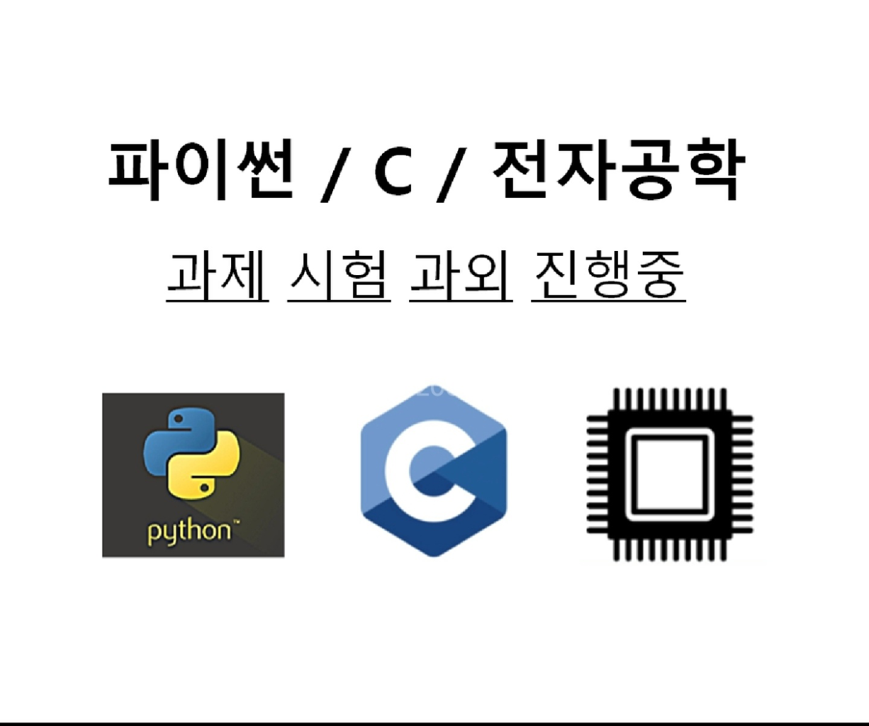 중/고/대학교 글쓰기, 레포트,과제,독후감,에세이 대필 | 중고나라 - 안심되는 중고거래