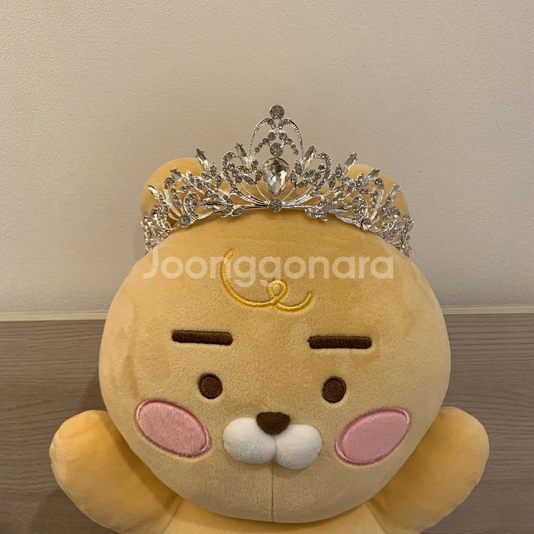 [졸업사진 의류대여] 빨간망토 차차 빨간모자 졸업사진--4