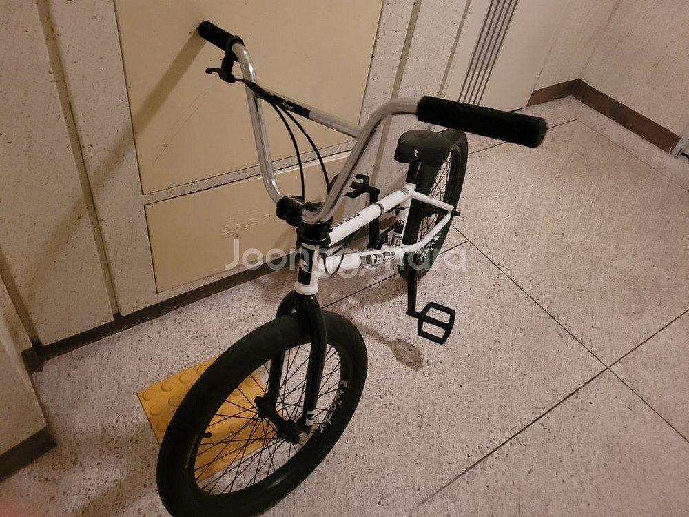 톨오더bmx--3