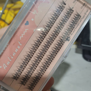 가닥속눈썹