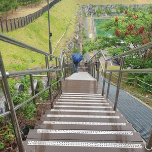 롯데시네마 1인예매해드립니다(1인만가능)