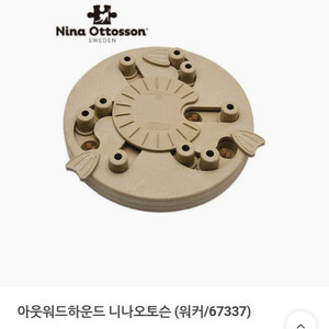 니나오토슨 아웃워드하운드 강아지