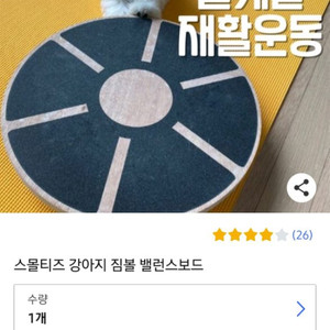 강아지 슬개골 예방 짐볼
