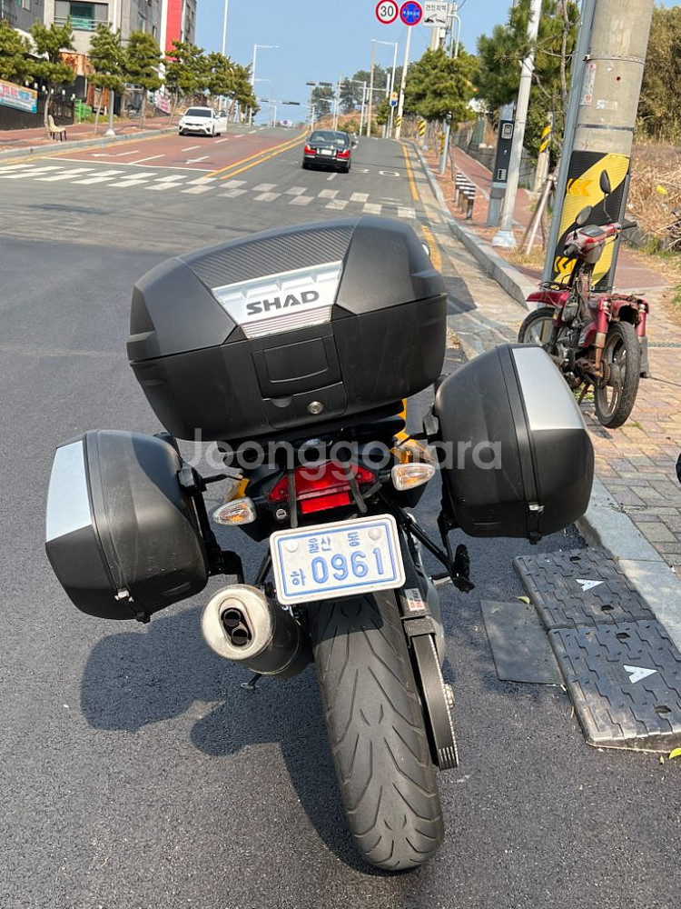 BMW f800s--4