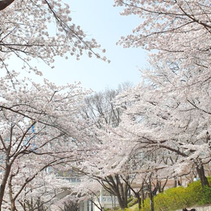 해외여행 호텔 예약해드립니다!