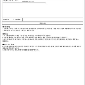 일본 디즈니랜드 입장권 2장 팝니다