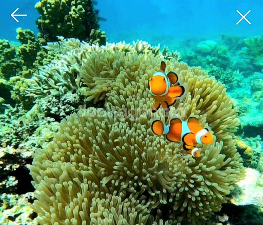 해수어항 삽니다--0