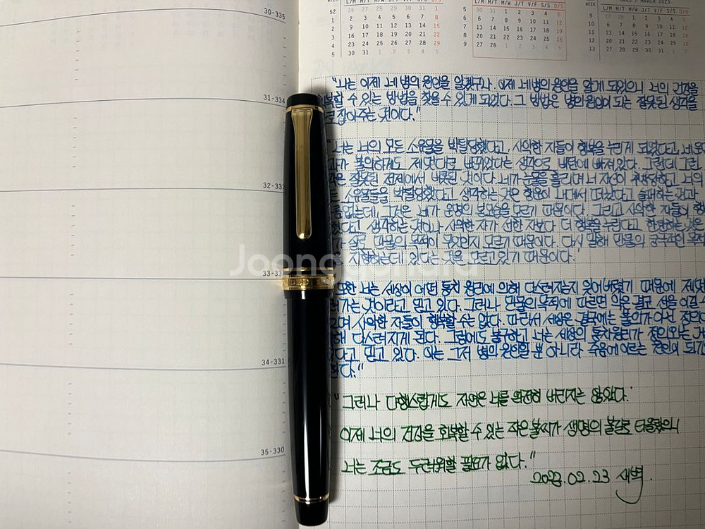 세일러 프로기어 블랙금장 21k m닙 f닙으로교환/판매--1