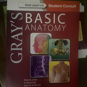 grays basic anatomy 그레이 베이직 아나