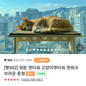 펫502창문형캣타워