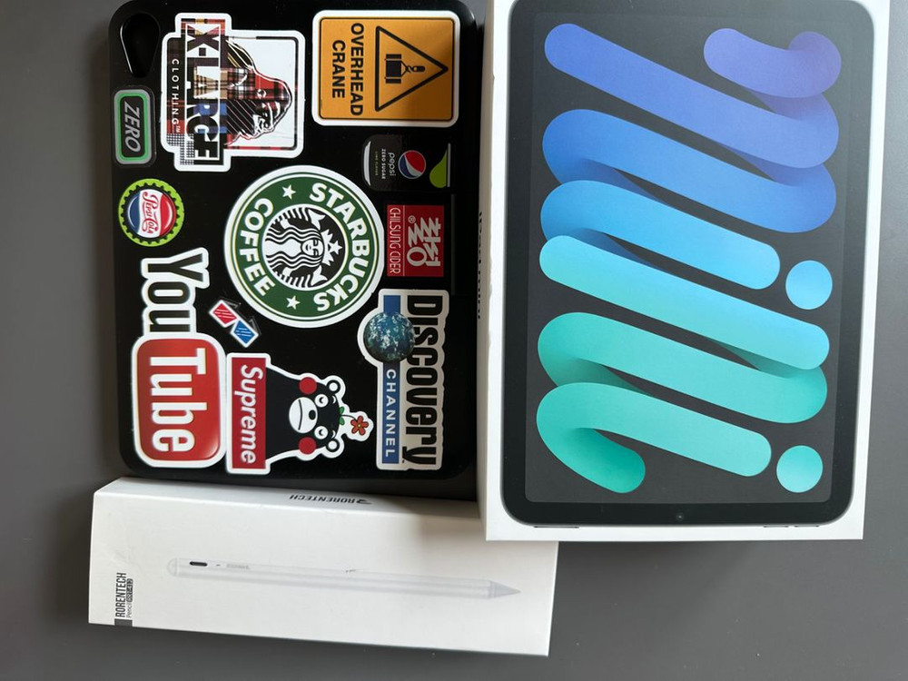 아이패드 미니6 256 셀룰러 애플케어 일괄 판매--2