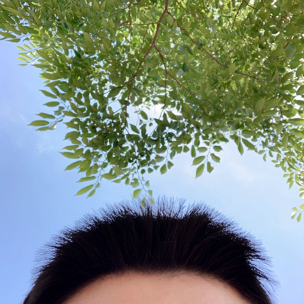 profile-image