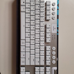 G913 TKL 화이트