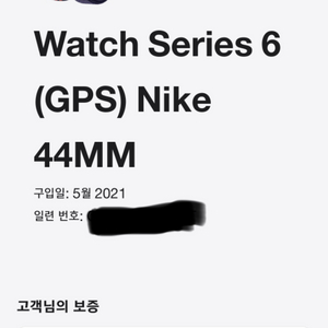 애플워치 6 44mm (gps) 나이키에디션