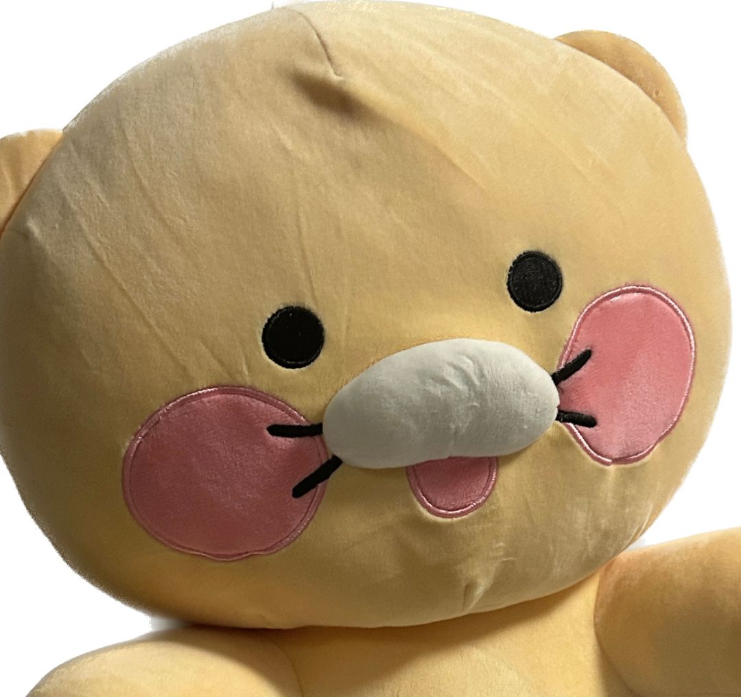 프로필 이미지
