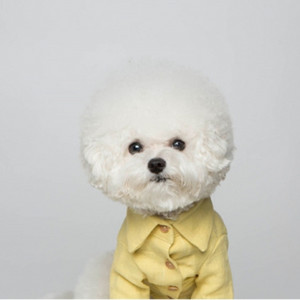 2XL 트로이스포인트 옐로우 레몬색 린넨셔츠 강아지옷