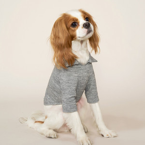 HOWLPOT 하울팟 그레이 피케셔츠 강아지 반려견옷