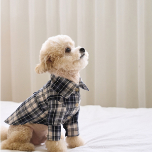 XL 트로이스포인트 더블체크셔츠 강아지 반려견옷