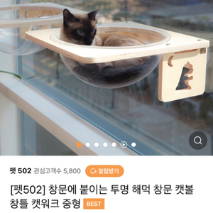 고양이 투명 해먹 창문