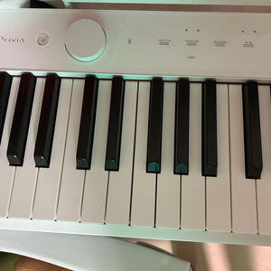 카시오 디지털 전자 피아노 PX-S1000 CASIO