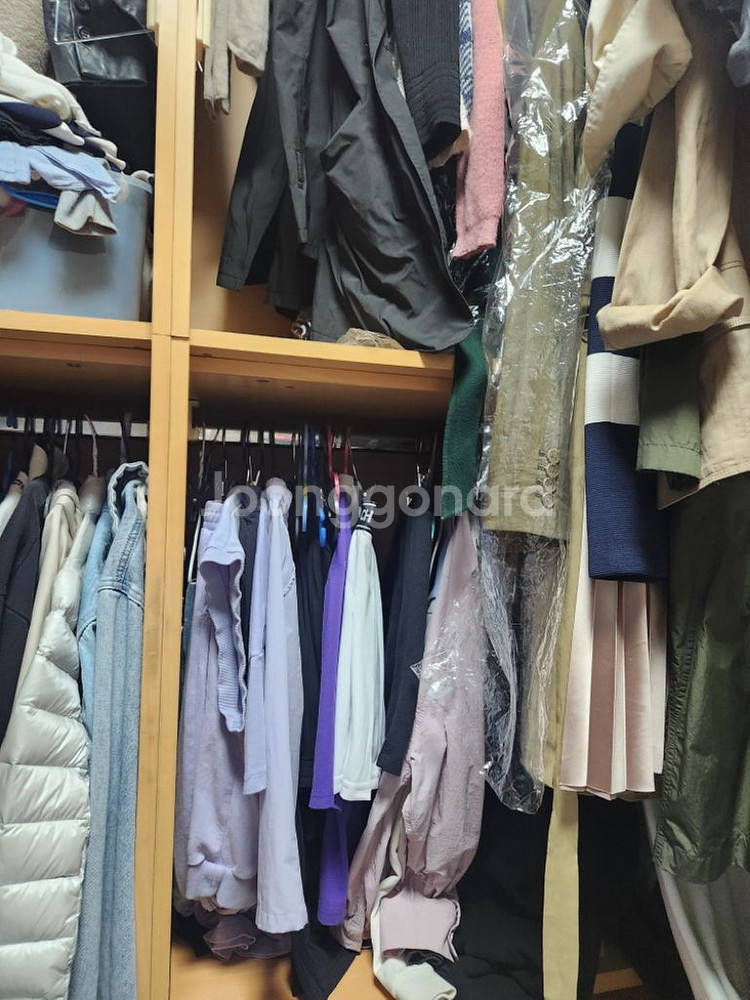 옷장--5