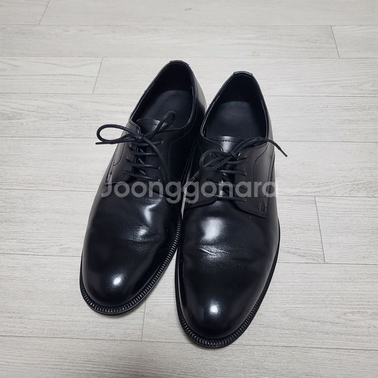 TNGT 구두(255)--0