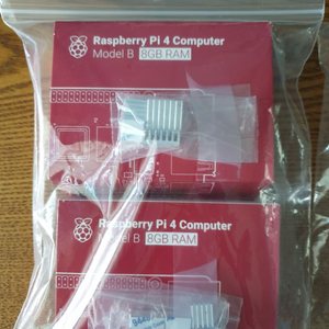 RaspberryPi 4 modelB 8GB+Picam