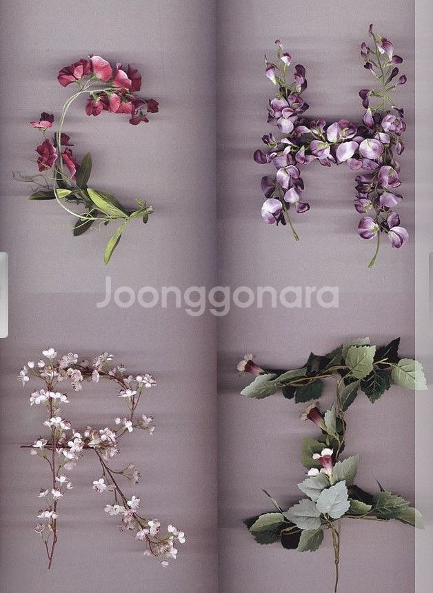 안그라픽스 타이포그래피 스케치북 미술 디자인--3