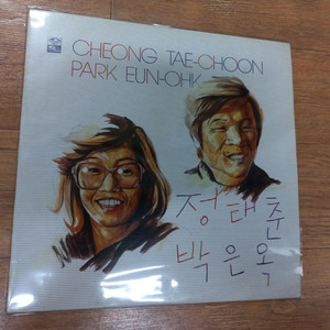 정태춘 박은옥 lp판 - 시인의 마을