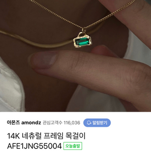 아몬즈 a14 네츄럴 프레임 목걸이 14k 골드 목걸이